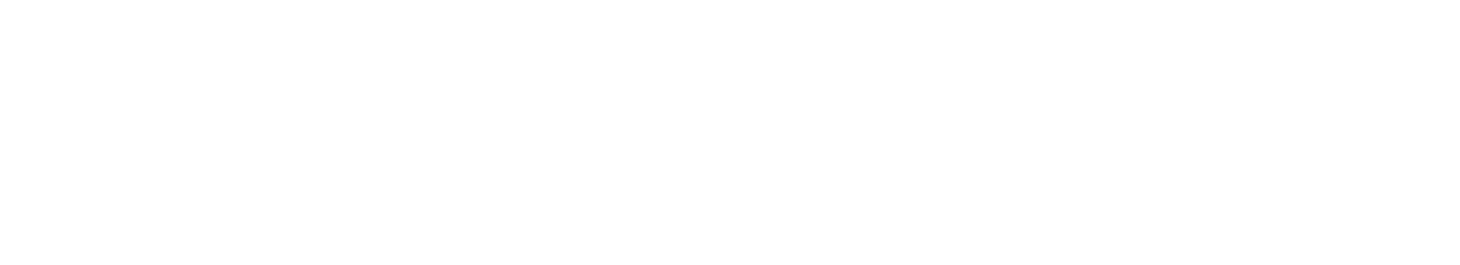 BSN Dresden GmbH